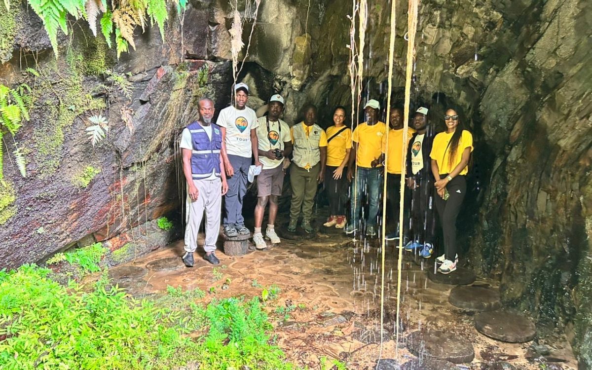 Safari Floresta do Maiombe – Cabinda